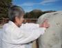 -Introduction-to-Tui-Na,-The-Original-Chinese-Meridian-Massage---Equine-or-Canine