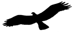 Helma Adler Clinic image