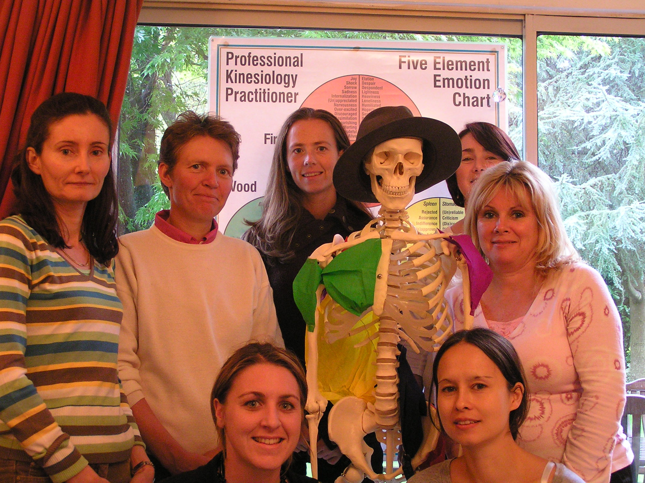 <p>A Certificate class demonstrate crepe paper muscles on a skeleton</