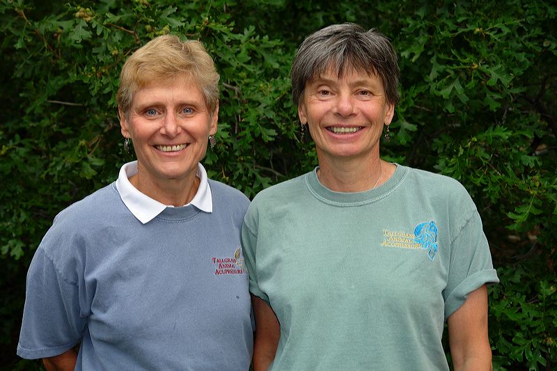 Amy Snow & Nancy Zidonis Traditional Chinese Medicine Practitioners & Instructors of Acupr
