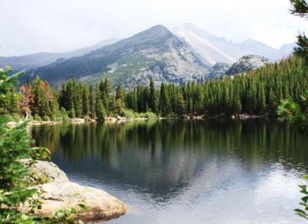 Nature reduces pain for Cancer patients