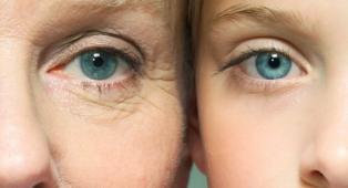 Ironing out the causes of wrinkles