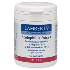 Lamberts-Acidophilus-Extra-4
