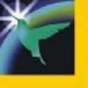Natural Therapy Treatment USA