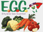 E.G.G. Ethylene Gas Guardian