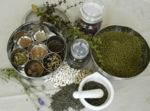 Herbs and spices; essential ingredients for Ayurvedic cookery